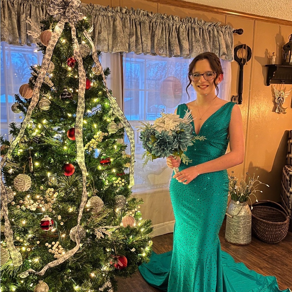 Prom/Winter Formal Dress